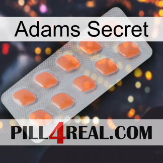 Adams Secret 26